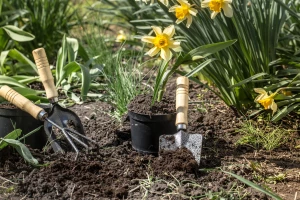 PPWR 2024: co oznacza nowe rozporządzenie dla producentów AGD i ich opakowań